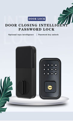 ปลอดภัยประตูของคุณด้วย แบตเตอรี่-powered ดิจิตอลสมาร์ทล็อคและ TTlock Tuya WiFi App