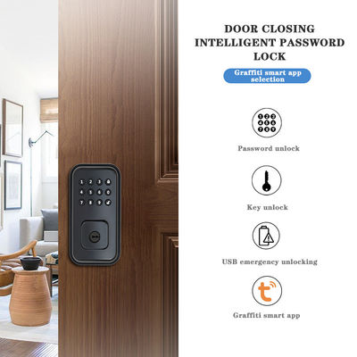 ปลอดภัยประตูของคุณด้วย แบตเตอรี่-powered ดิจิตอลสมาร์ทล็อคและ TTlock Tuya WiFi App